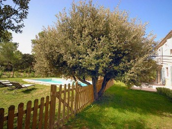 Location vacances saisonnière prestige Eygalieres